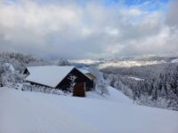 FB_IMG_1644946866323