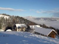 FB_IMG_1644946932083