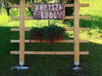 FB_IMG_1644947091626