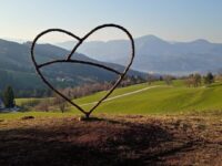 FB_IMG_1644947110046