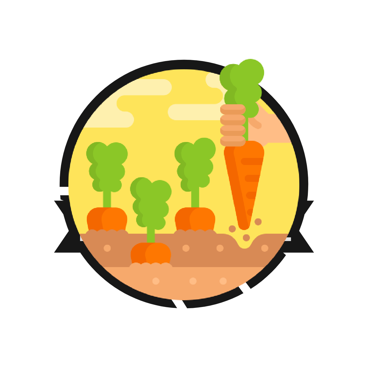 Domači sokovi in sirupi